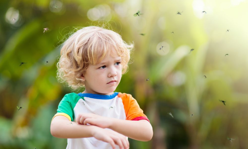 Insect Bites And Ticks